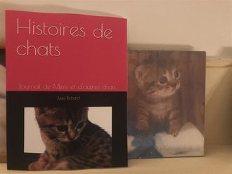 Histoires de chats / Jules Richard ..