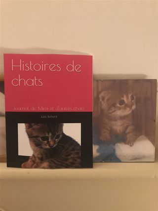 Histoires de chats / illustrations Gigi M.