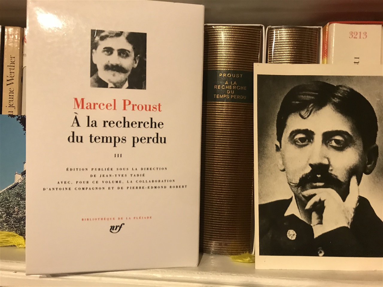 Marcel Proust | julesetleslivres.com