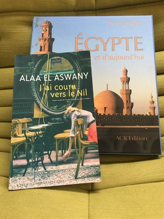 Alaa El Aswany / J'ai couru vers le Nil