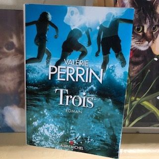 Valérie Perrin /  TROIS
